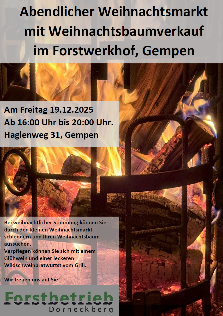 Flyer Weihnachtsbaumverkauf