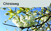 Chriesiweg